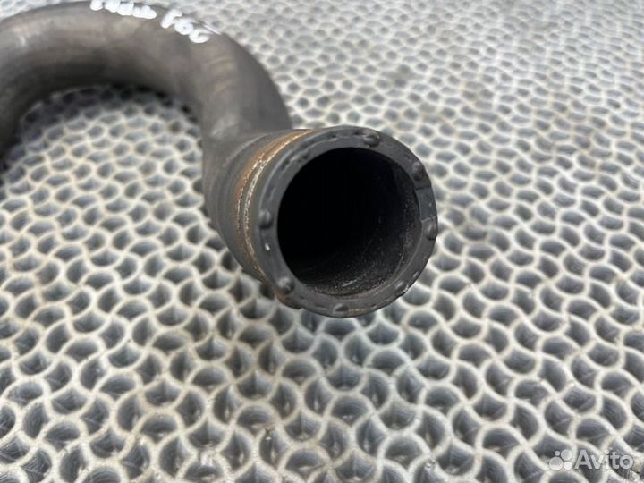 Патрубок радиатора Ford Transit TT9 2.4L duratorq