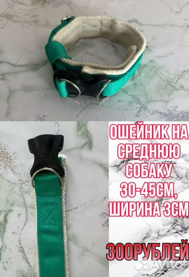 Амуниция для собак