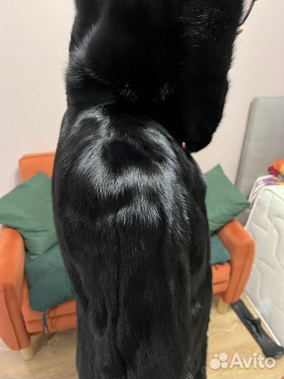 Шуба норковая 42 44