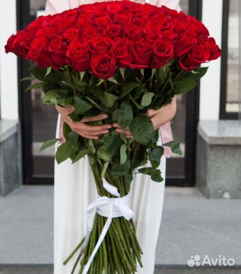 Роза Эквадор 100см с доставкой Волгоград