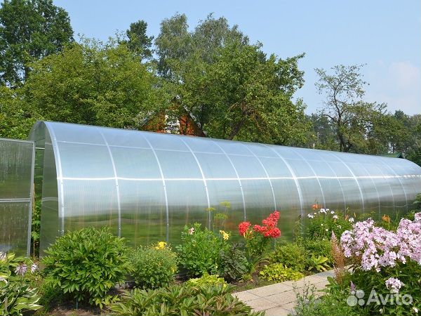 Теплица арочная из дуги 25х25 урожайная