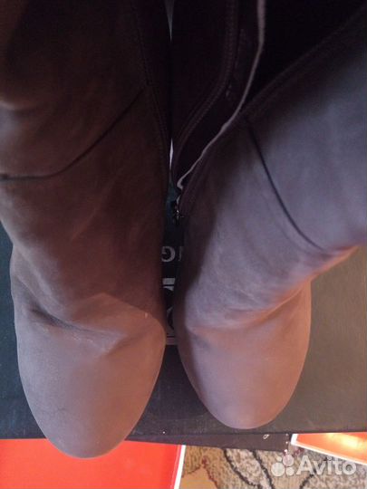 Женская одежда