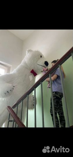 Белый Мишка. Москва