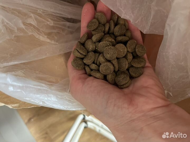 Сухой корм для щенков