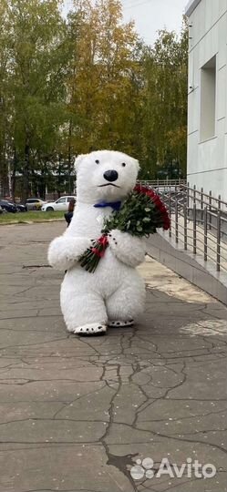Аниматор белый мишка на любой праздник