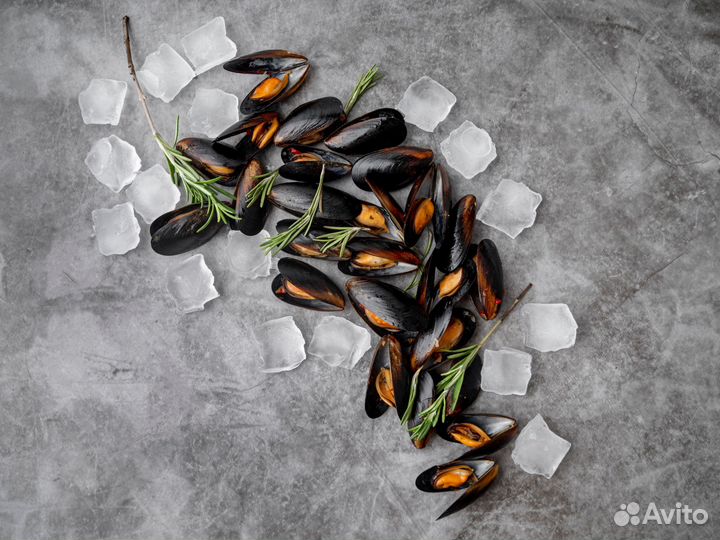 Мидии с доставкой в Каменку