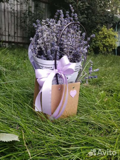 Лаванда букет max