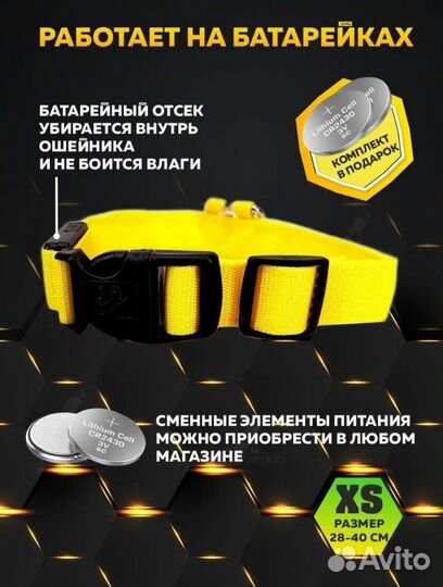 Светящийся ошейник