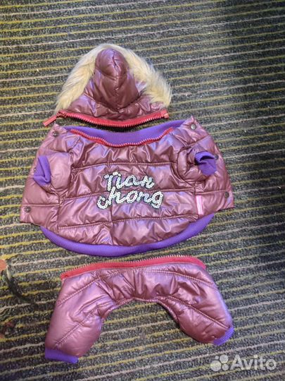 Комбинезон для маленькой собачки