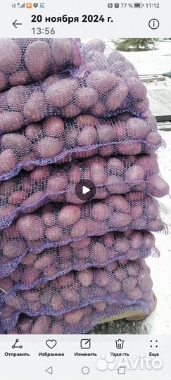 Продам картофель оптом