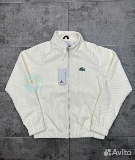 Мужская кофта old money lacoste