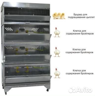 Домашняя Ферма №4 стандарт