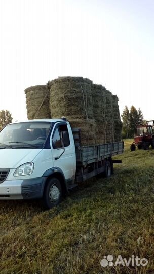 Продам сено в рулонах