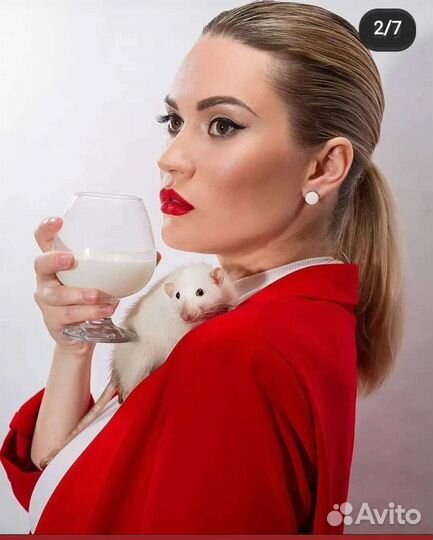 Аренда собак, щенков, для фото и видео, реклама