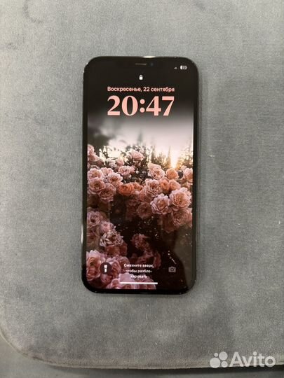 iPhone 12 Pro Max, 256 ГБ