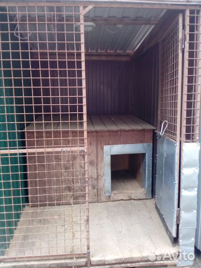 Гостиница для собак и животных / Передержка