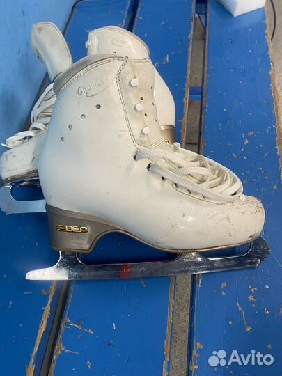 Коньки edea Chorus 230