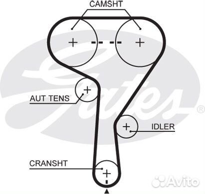 Зубчатый ремень привода грм powergrip 5603XS