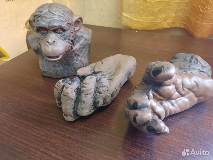 Муляж антропологический