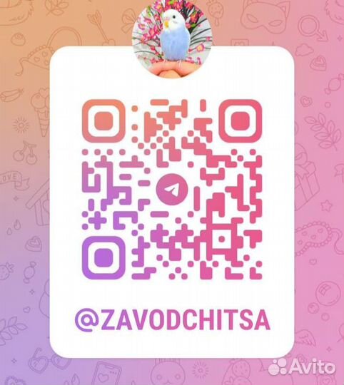 Волнистые попугаи птенцы