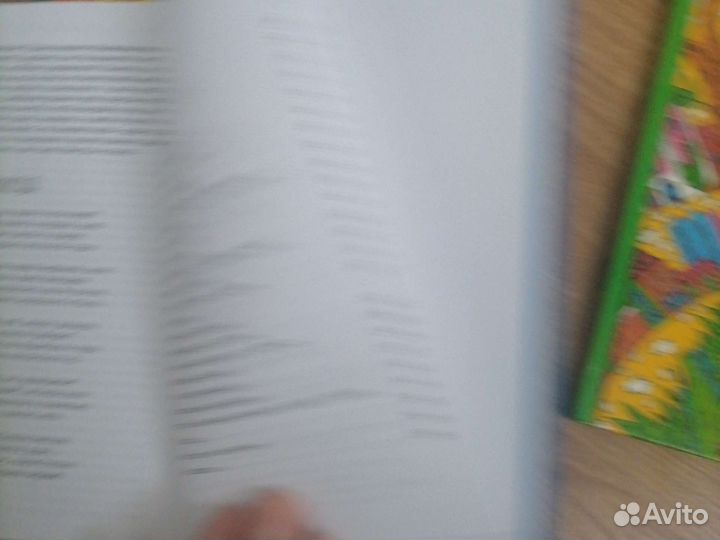 Книги Ирины Шейбак