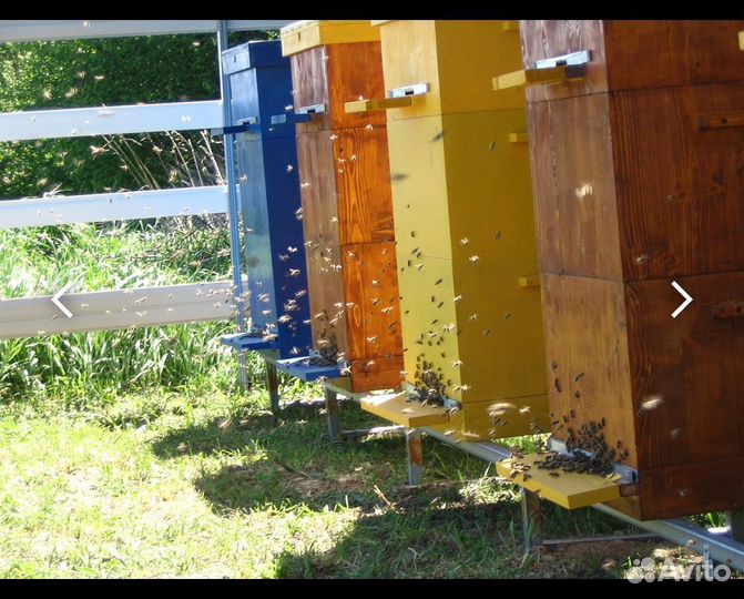 Продам ульи