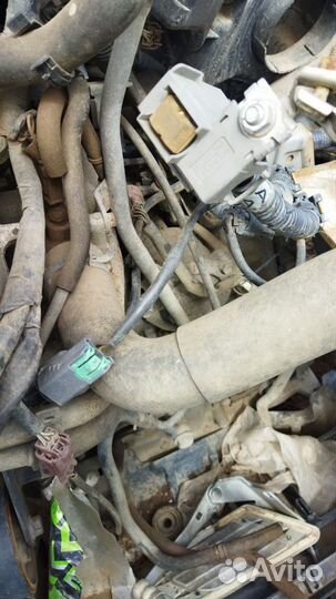 АКПП Nissan Maxima A33