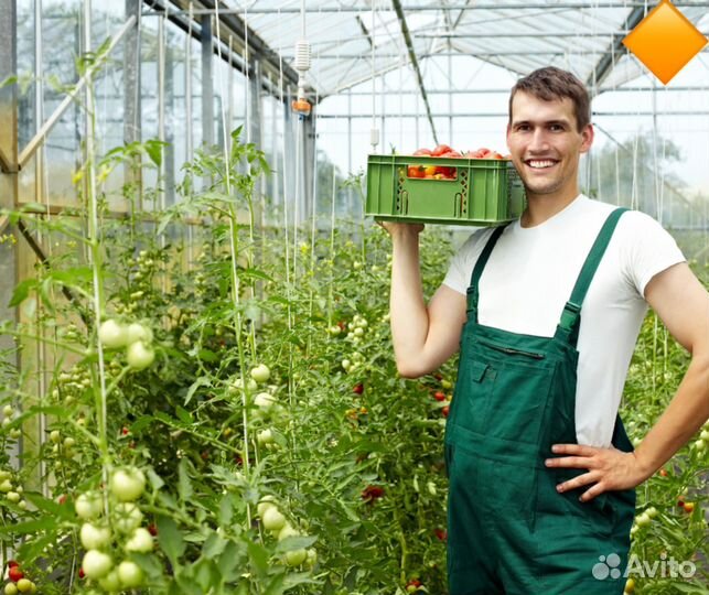 Подсобник разнорабочий вахта с проживанием