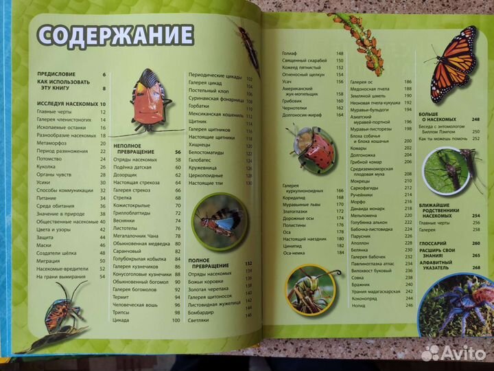 Большая энциклопедия 