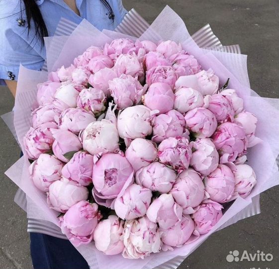 Пионы от производителя. Срочная доставка 24/7