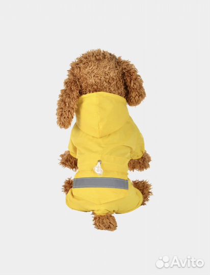 Одежда для собак