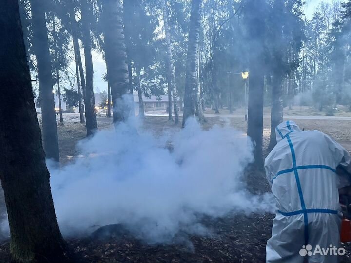 Уничтожение Тараканов, Клопов, Мышей, Клещей