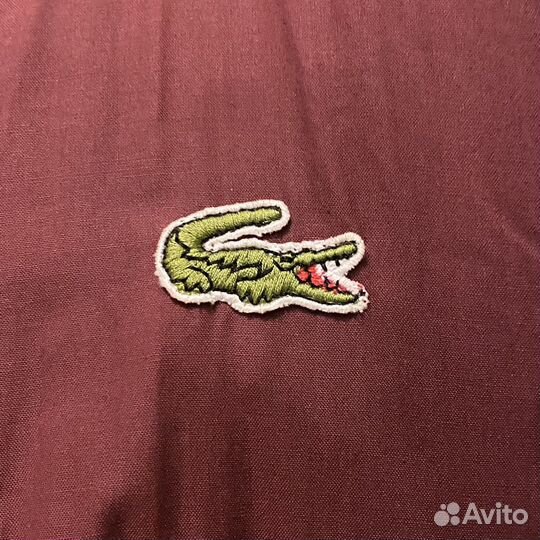 Бомбер lacoste