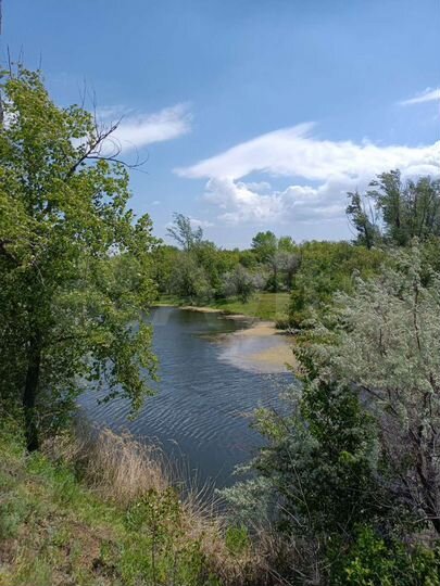 Участок 9,75 га (СНТ, ДНП)