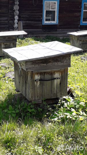 Продаю 2 пчелосемьи с ульями