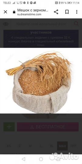 Зерно пшеница кукуруза