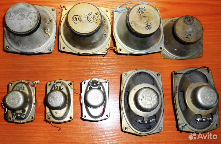 Динамики Россия