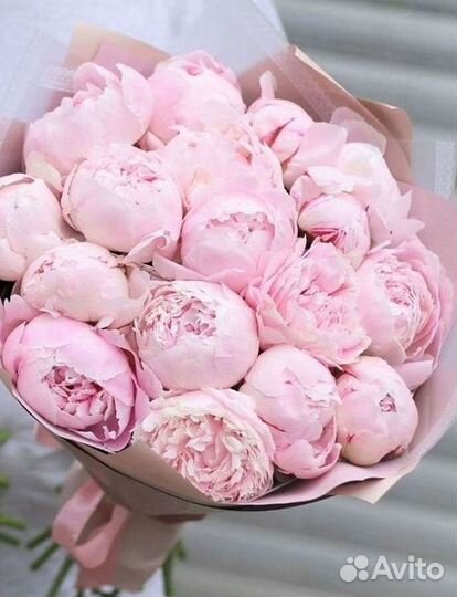Пионы Букет пионов Доставка цветов