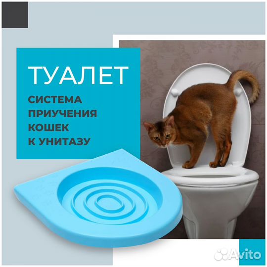 Лоток (система приучения кошек к унитазу)