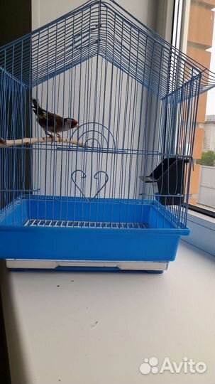 Клетка для попугая