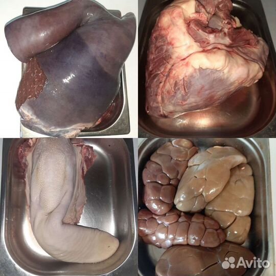 Мясо для собак. Говядина, конина, кролик