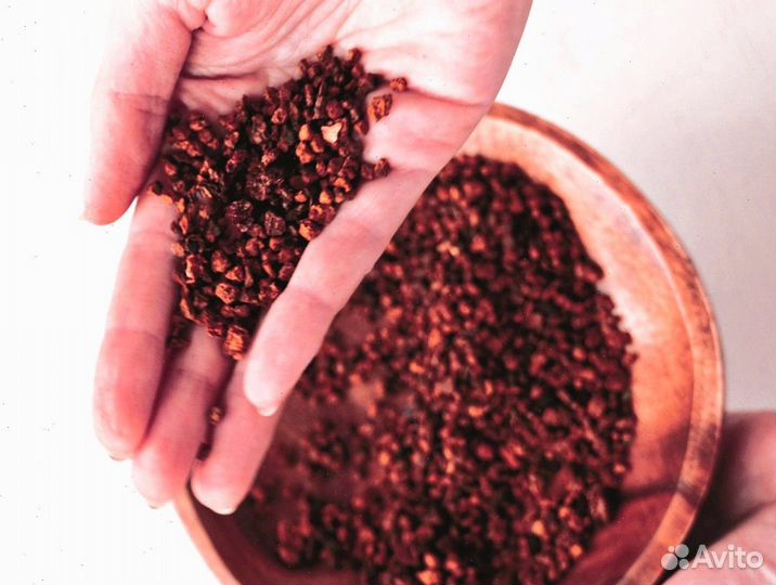 Чага сушеная опт. Любые объемы и виды