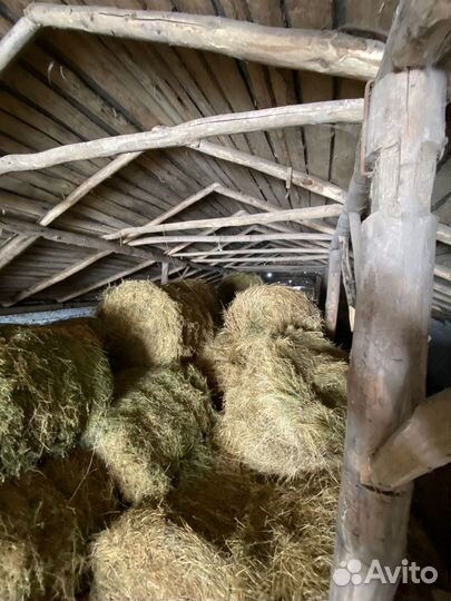 Сено в рулонах, 145 Размер