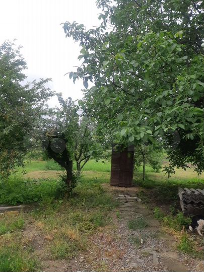 Дом 240 м² на участке 40 сот.