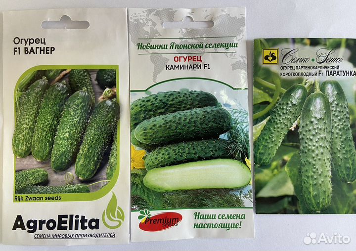 Огурцы семена