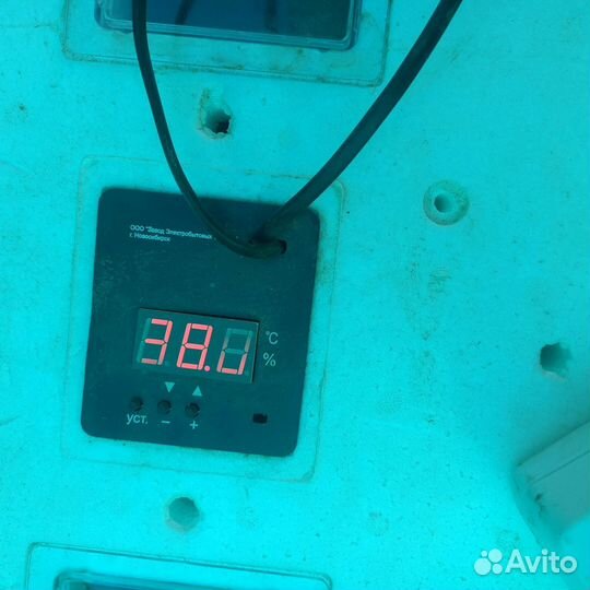 Инкубатор для яиц автоматический бу несушка