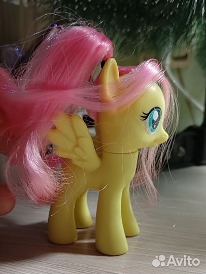 My little pony Флаттершай
