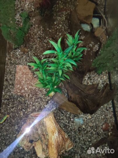 Аквариум с тумбой 500 литров