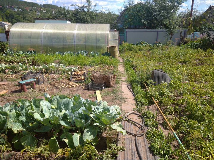 Дача 30 м² на участке 4 сот.