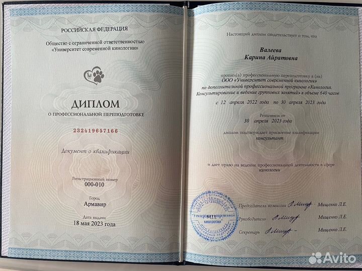 Гуманный Кинолог Зоопсихолог, Поведение собак